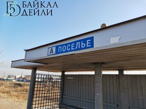 В пригородном районе Бурятии гоняются за медведем