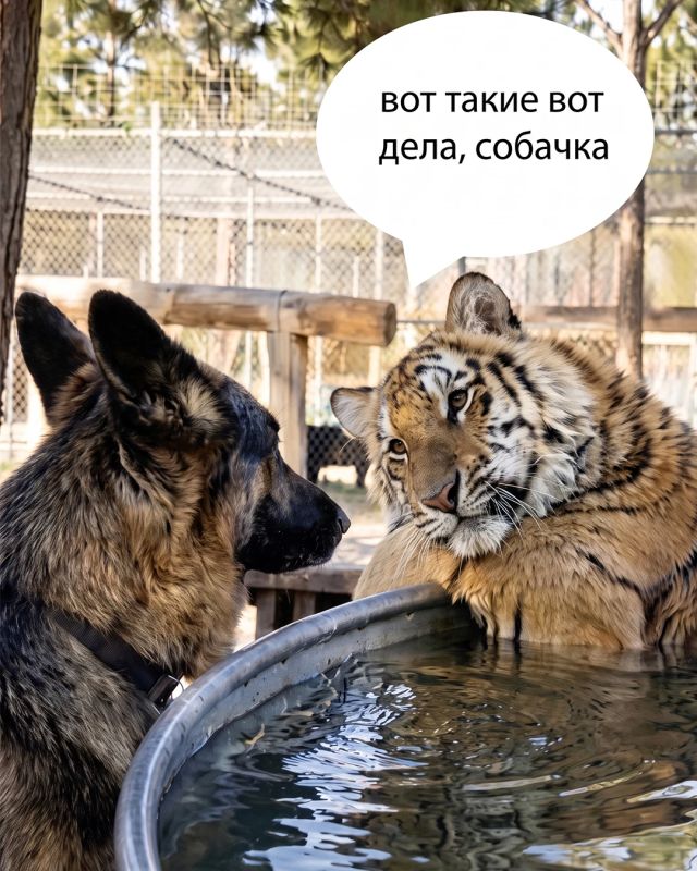 От мокрого снега до +20: погода в Бурятии не даст заскучать