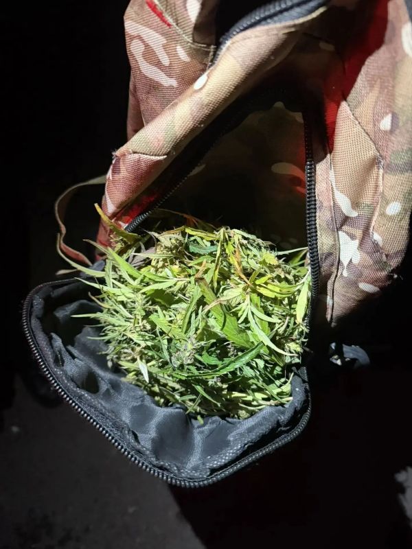 В Улан-Удэ транспортные полицейские задержали двух гражданин с растительными наркотиками