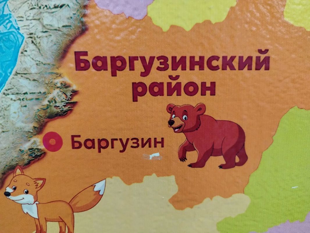 Число "отрегулированных" медведей в Бурятии приближается к 200