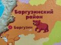 Число "отрегулированных" медведей в Бурятии приближается к 200