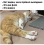 Прекрасной субботы! . 19 сентября в Бурятии обещают переменную облачность и небольшие, а на юге – умеренные дожди