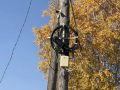 В Бурятии выявили более 12 тысяч опор ЛЭП с незаконными линиями связи