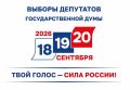Сведения о явке избирателей на 12-00 часов