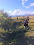 � ���������� �������� ��������� ������������ ����������� ��������