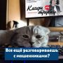 За минувшие три дня зарегистрировано 13 преступлений, совершенных с использованием IT-технологий