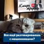 За минувшие три дня зарегистрировано 13 преступлений, совершенных с использованием IT-технологий