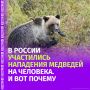 � ������ �� ��������� ������ �� ��������� �������� ������� ��� ������� 17 �������