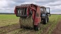 Восточно-Сибирский свинокомплекс завершил укос зелёной массы суданской травы на площади 110 га
