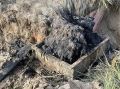 150 кг мусора: Улан-удэнцев попросили не смывать в канализацию всё подряд