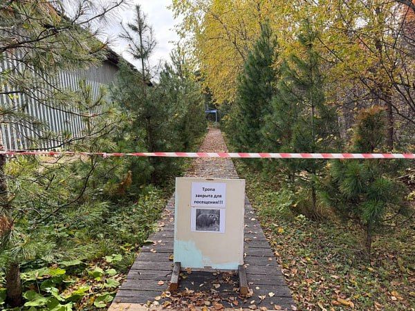 В районе Бурятии родителям разрешили забрать детей из школы из-за медведя