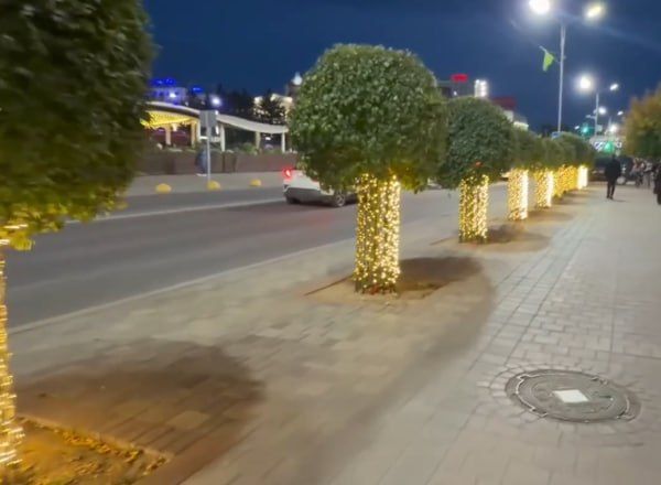 Яблоневая аллея в Улан-Удэ будет круглый год подсвечиваться прожекторами