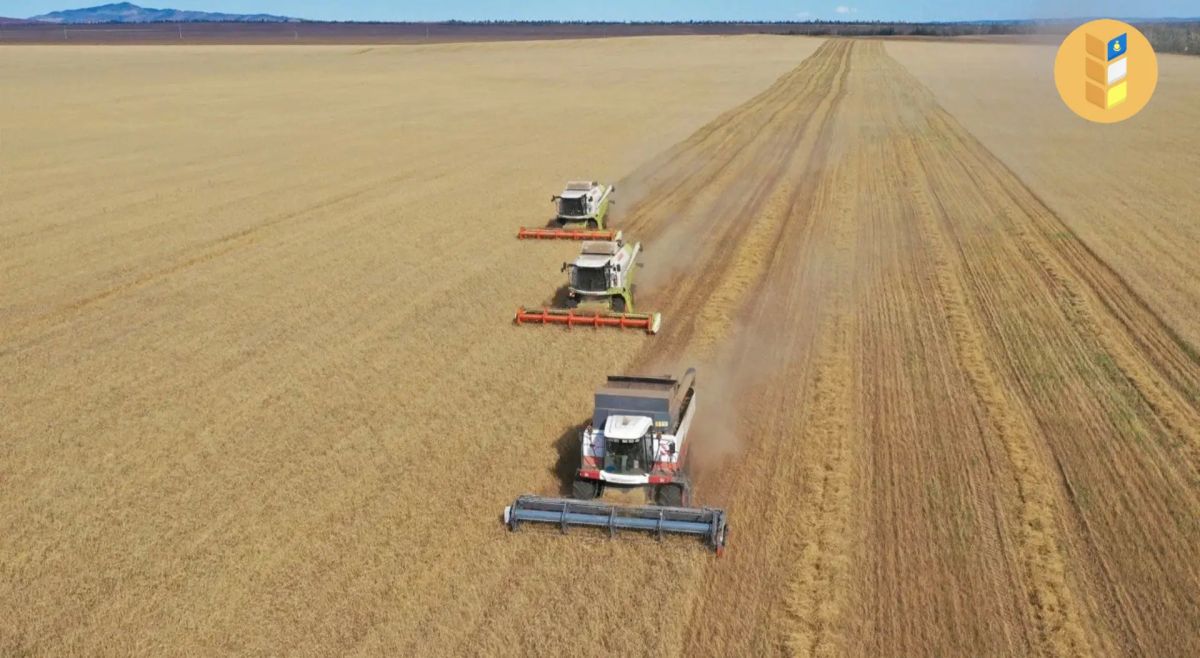 Уборка урожая сельскохозяйственных культур продолжается в Бурятии