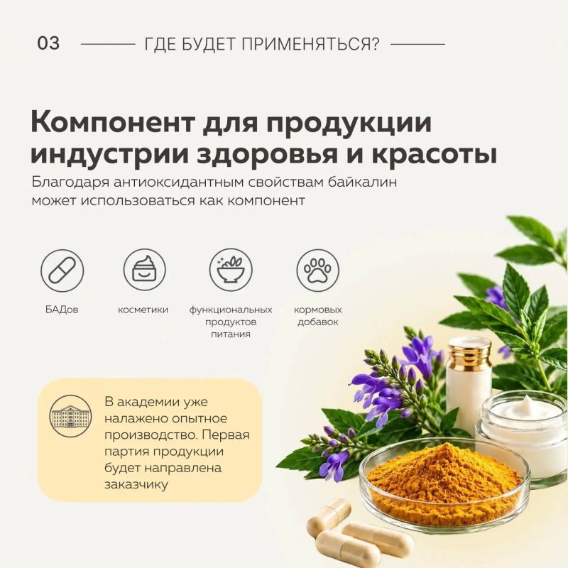 Ученые Бурятской ГСХА создали отечественный антиоксидант для БАДов и косметики Ученые Бурятской ГСХА создали отечественный антиоксидант для БАДов и косметики