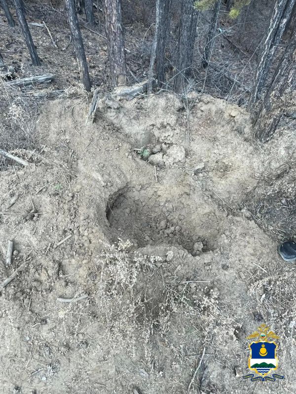 Полицейские в пригороде Северобайкальска обезвредили агрессивного медведя Полицейские в пригороде Северобайкальска обезвредили агрессивного медведя
