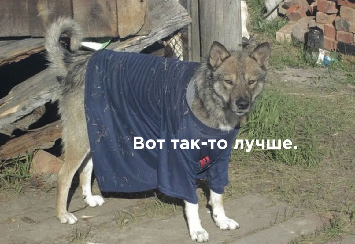Пора утепляться? Какая погода ждет Бурятию в выходные