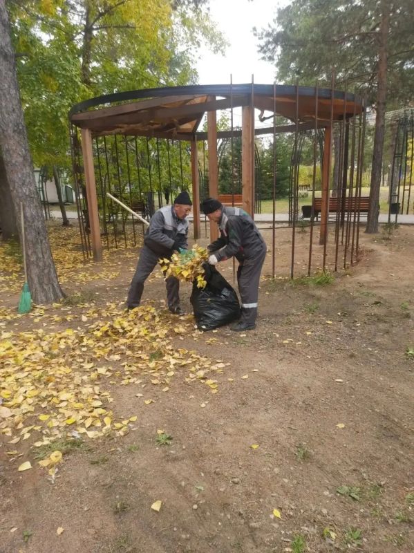 Месячник чистоты: как готовят парки к зиме?