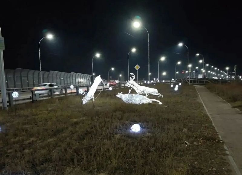 В Улан-Удэ задержали парня, повалившего светящихся оленей
