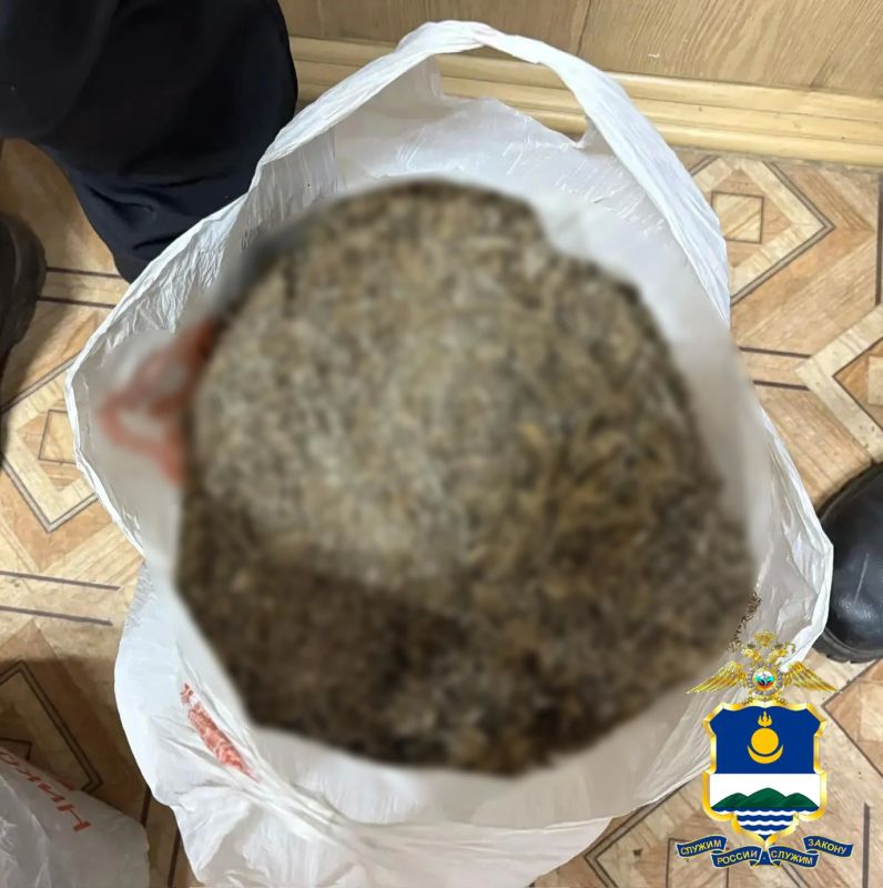 В Тарбагатайском районе сотрудники полиции изъяли у местного жителя более 1,9 килограмма марихуаны