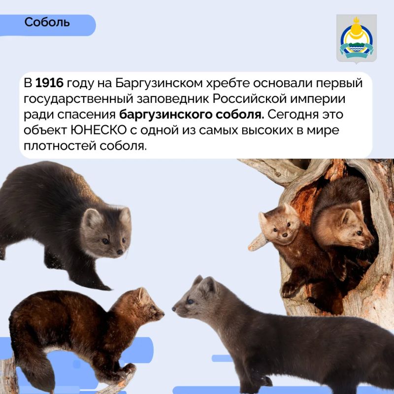 Мы запускаем новую рубрику — «Бурятия в деталях» Мы запускаем новую рубрику — «Бурятия в деталях»
