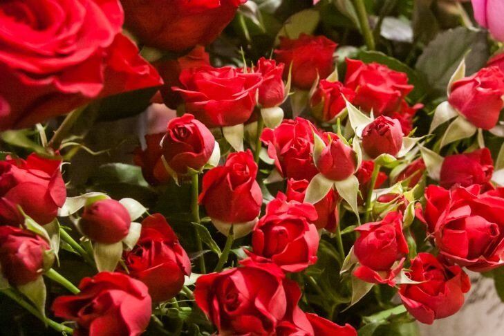 ����� ������ ����� ������ �������: ���� ��� ����� �� ����