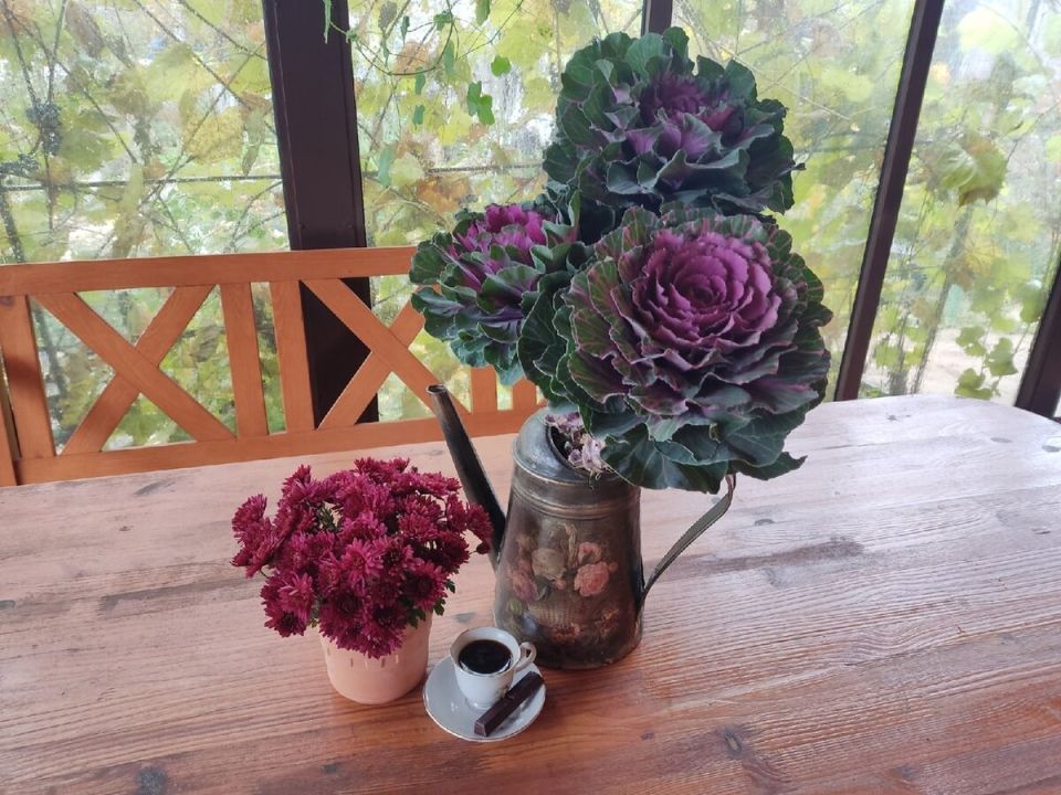 Огородники против цветочников: Почему цветы должны быть не только для еды?