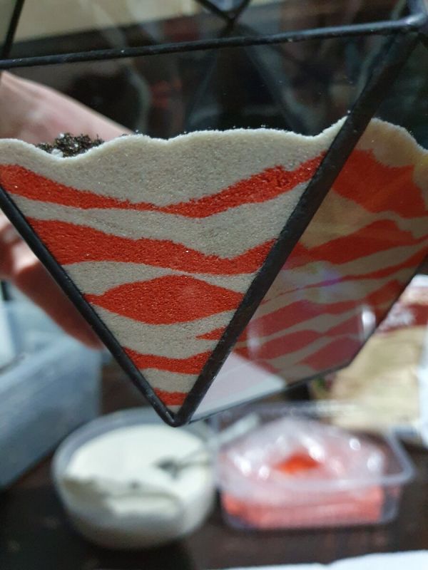 Как создать идеальный флорариум: секреты оформления, которые стоит знать