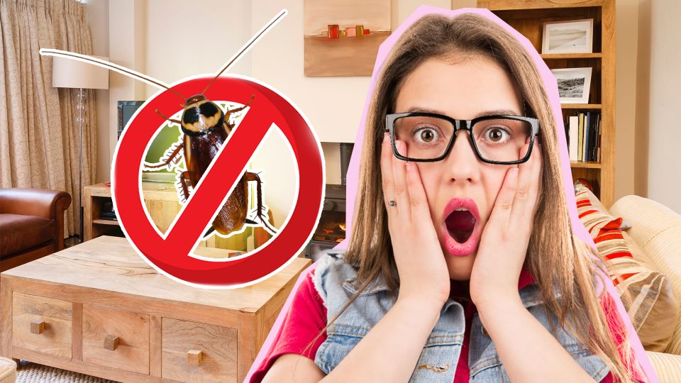 Умрут от обезвоживания: с этим секретным средством вы точно выиграете бой с тараканами