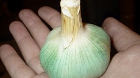 ��� ������, ��� � ����� ������� ���-�� �� ���: 9 ��������� ��������� � 7 �������� ���������