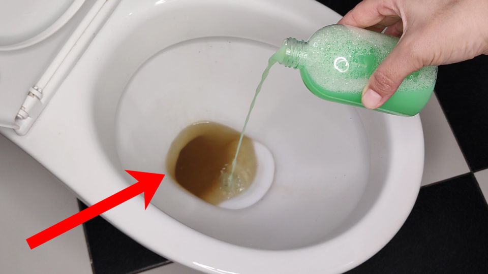 ������� ��������� �������: ��� �������� ������ � ��������� ����������