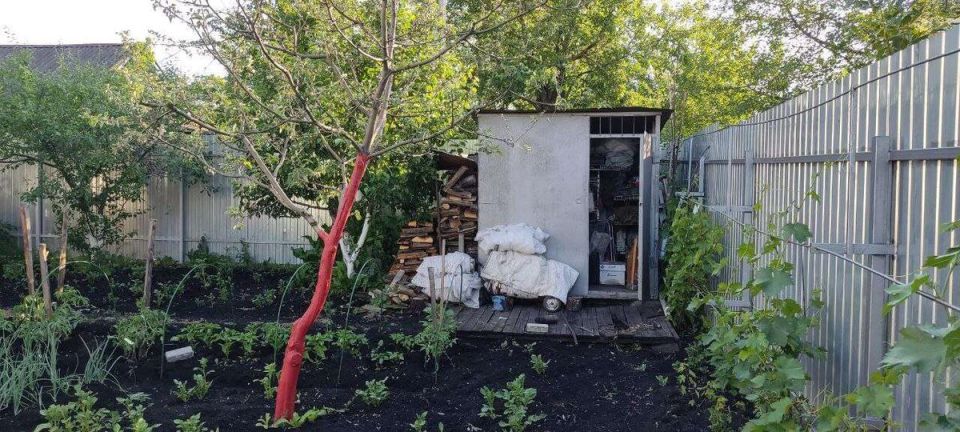 ����� ����� � �����������: ��� �� ������� ��� ������ ��������