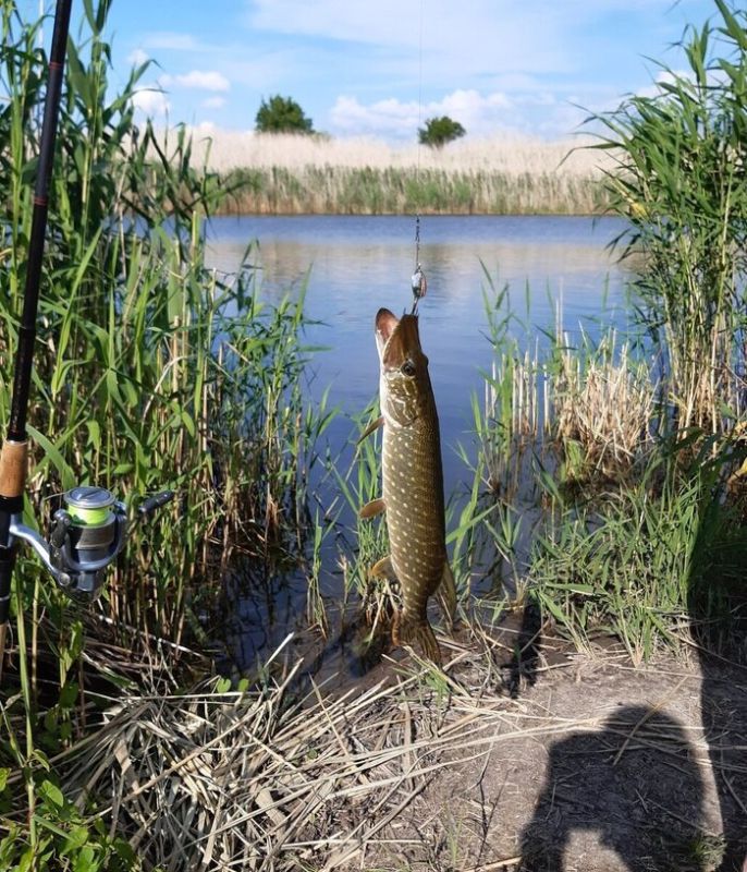 ��� ��� ������ ���: ������� ������������� ��������� ������� ��� � ��������