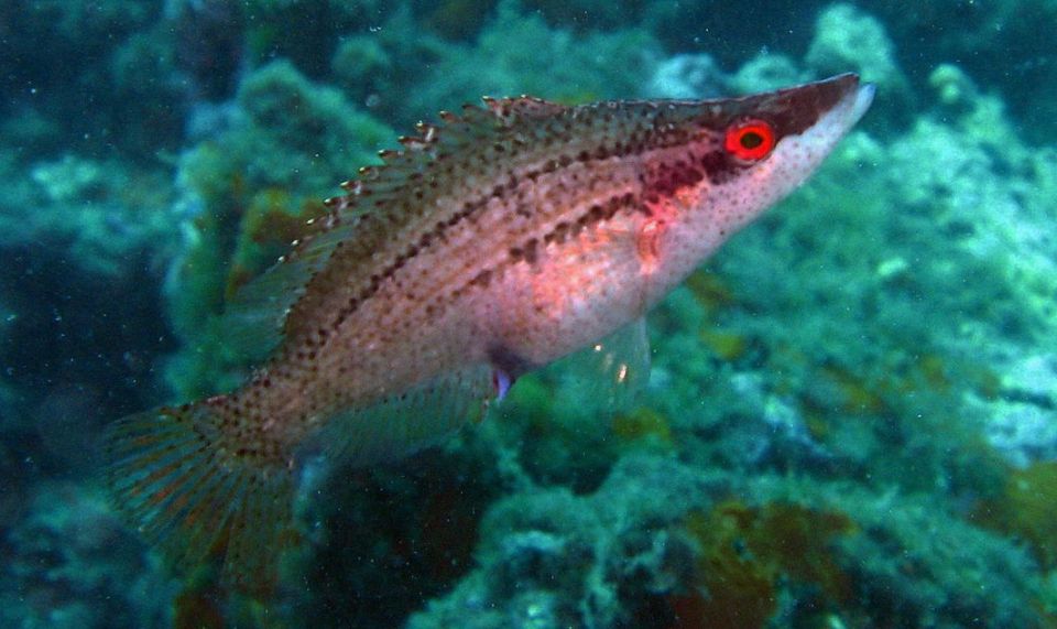 ������� �����: ������������ ���� � ����������� �������