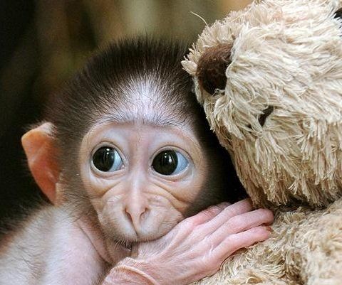 ����� ����� �������: ��� ������� �� �����