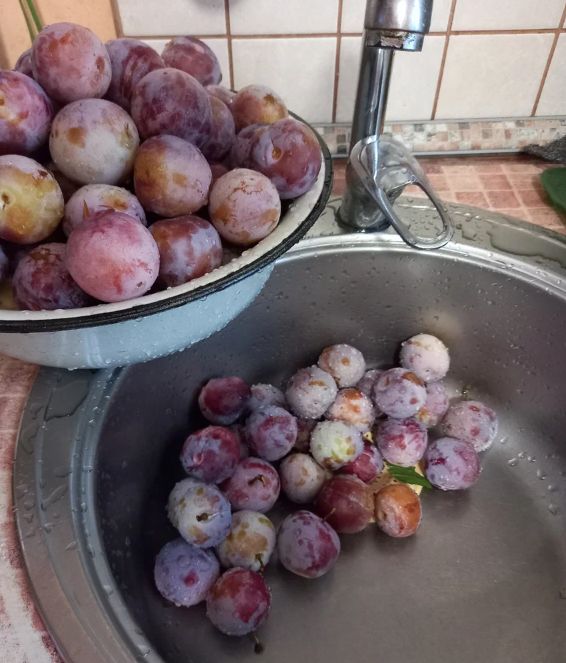 Неизвестные свойства чернослива и его домашнее приготовление