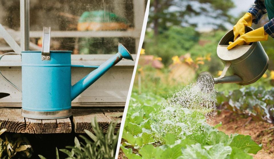 ��� �������� ������ ��� ������ �������: ������ ������������ ��� ��������