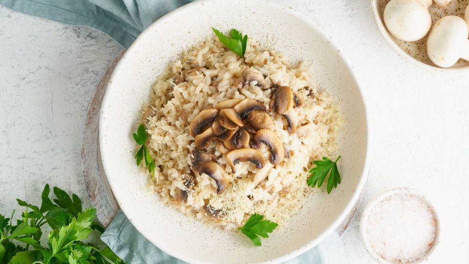 ����� ������� ������ ����������� ������ �������: ����� ��������� ������������