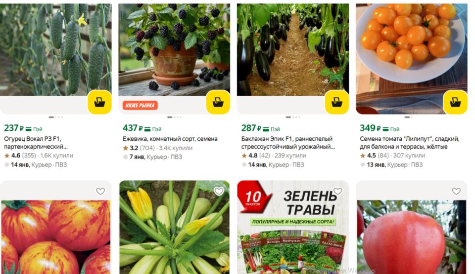 ��������� ������������: ������ ����� ��� ������� � 2026 ����