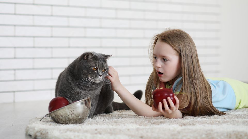 �� ������� ���� ����� ������� � ��������: �������� �� �������� ���� �����