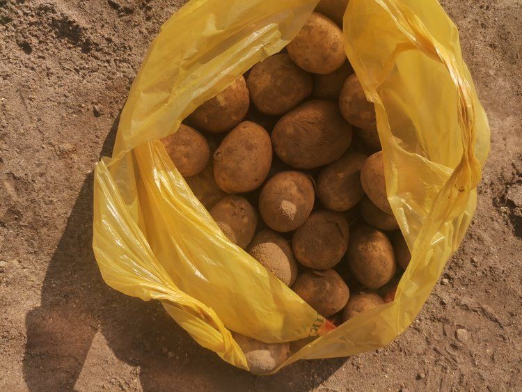 ��� ��������� �������� ������: ������ �� �������������� �����������