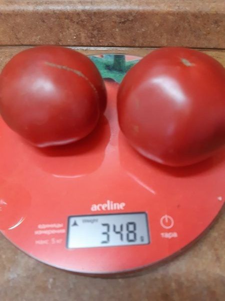 �������� ������ ��� ������ �������: ����� 