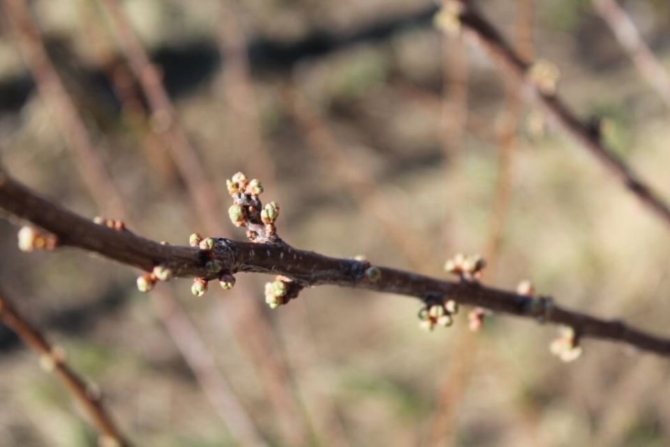 ��� ������ ������������ �� ����� ������ � ������ ������