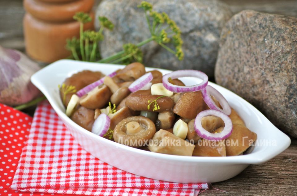 ������� �������� ������� ��������