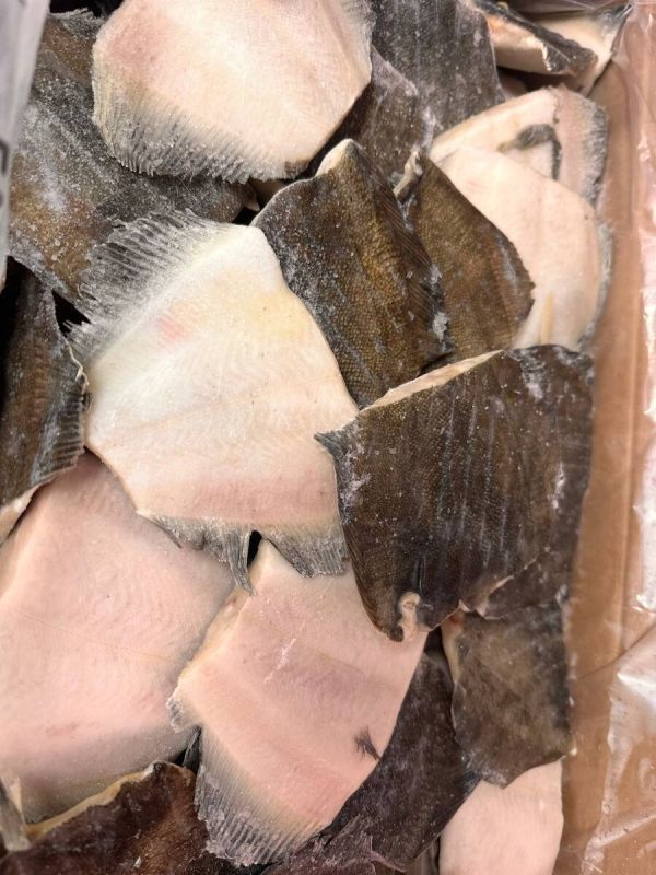 ������� �������������: �������� � ������ �������