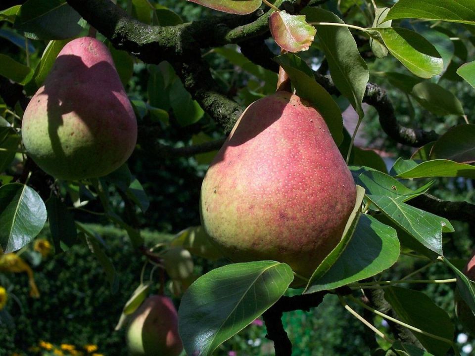 ��� ������ � ����� ���������� �������: ��� ����� ����� � ������������� ��������