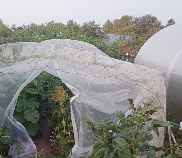 ������� �����������: ��� ������� ����� ������� ������