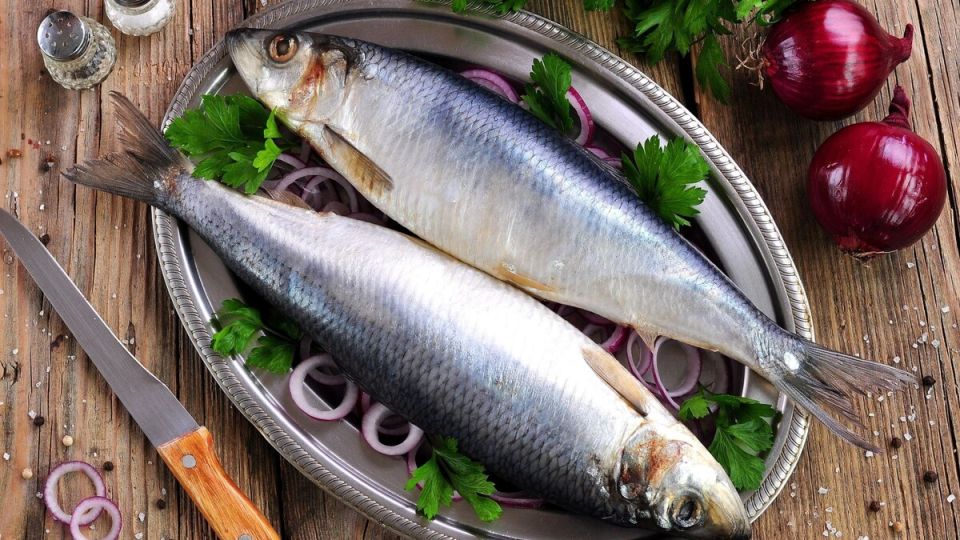 Рост цен на рыбу за год: что происходит и как с этим жить