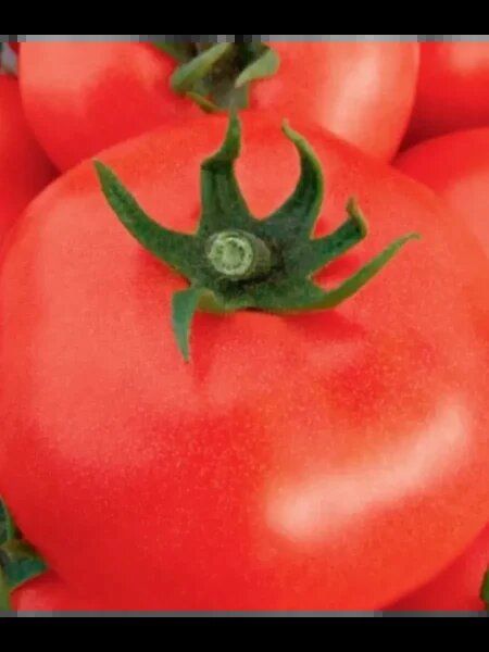 ����� ���: ����������� � ������������ ��� ������������� �����������