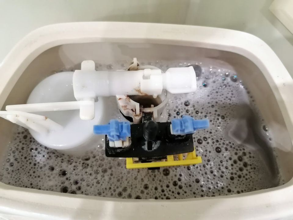 ��� ������ ������������ ������� �������� ����� ��� ������ ������