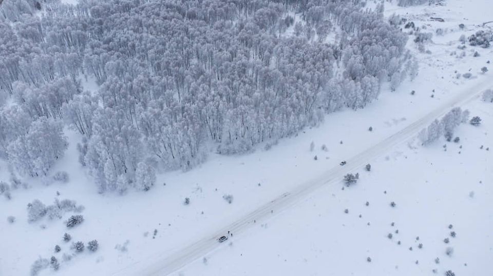 ��� ���������� ������� ������������ � ����� ��� ����� �������� �� ��������������